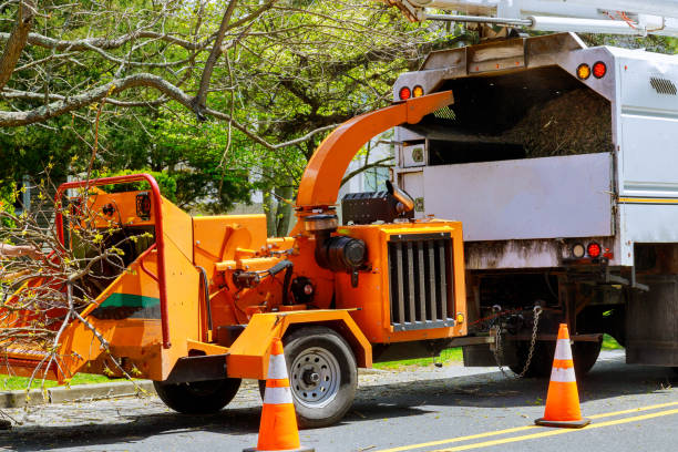 Best Hazardous Tree Removal  in Republic, PA